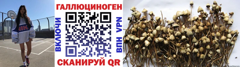 Купить  Рузаевка  Псилоцибиновые грибы GOLDEN TEACHER 